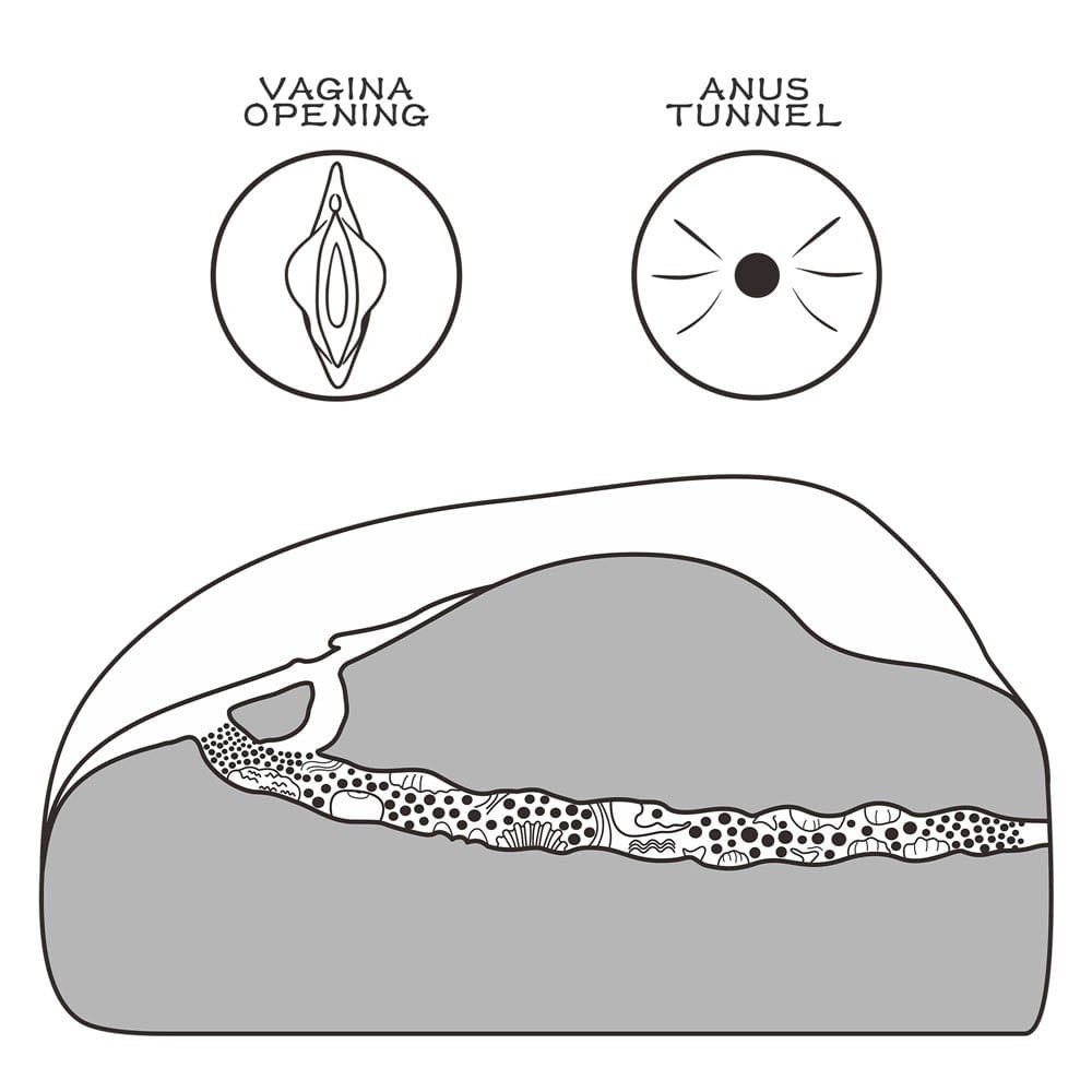 https://debranet.com/img/kepek/1323/41447.jpg?t=bigwm&w=1000&h=1000