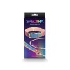 Spectra Bondage - Collar &  Leash - Rainbow